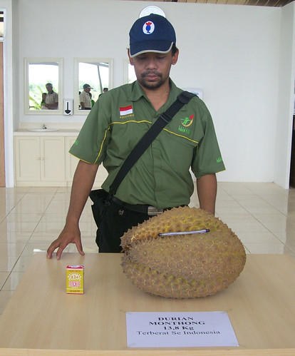 Dipanen Durian Monthong Raksasa Indonesia: 13,8 Kg