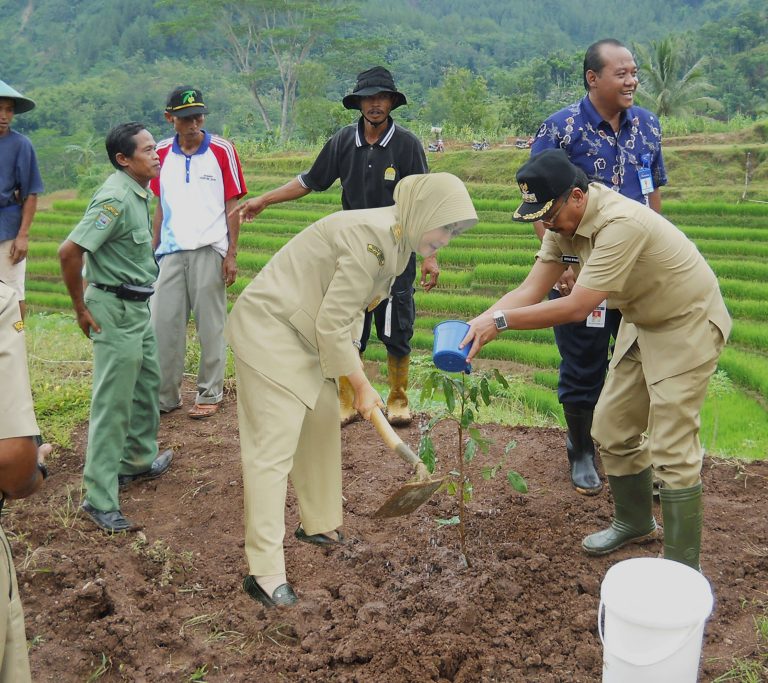 CSR Bank Jateng, Wagub Rustriningsih Tanam Perdana, di Sentra Pemberdayaan Tani Desa Seboro