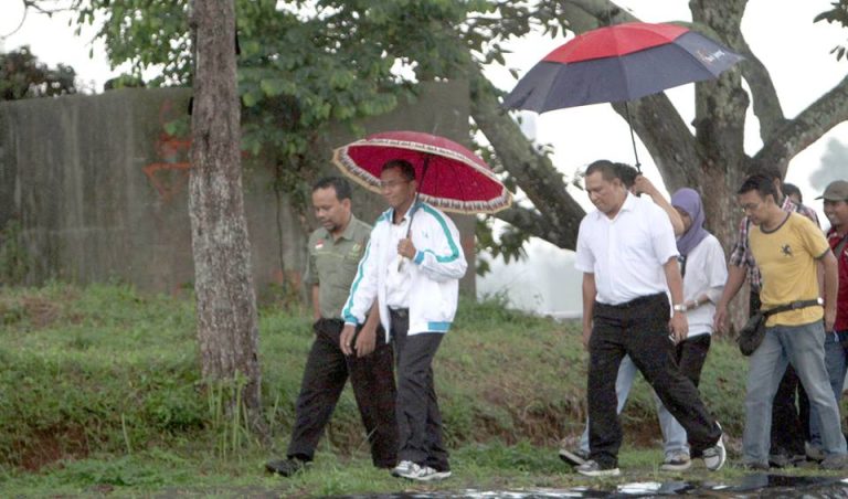 BANTAL EMAS MASSAL DARI NEGARA TROPIK.