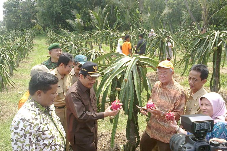 Menteri Pertanian Suswono berkunjung ke SPT Wonokerto.